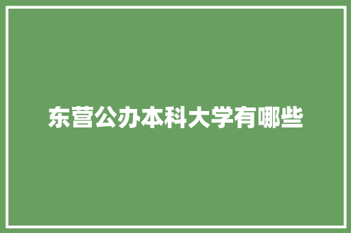 东营公办本科大学有哪些