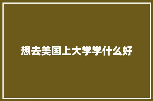 想去美国上大学学什么好